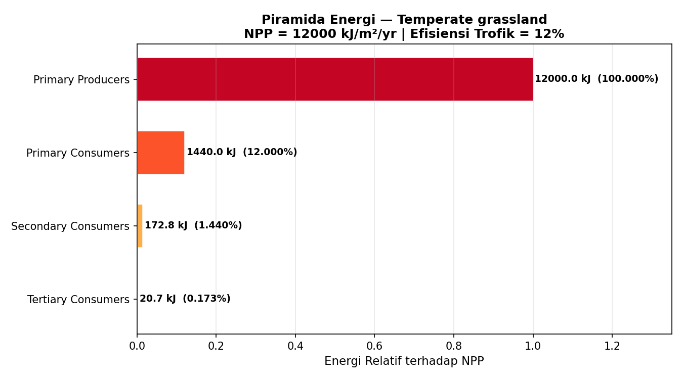 Piramida energi per level trofik